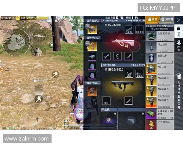 和平精英战术解析：BLG中路突破体系的核心策略与实战应用