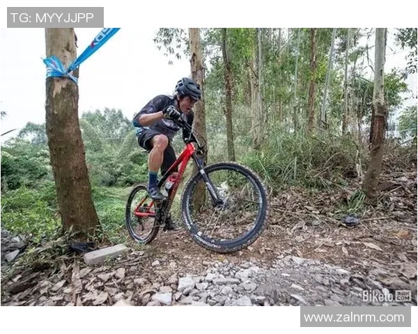 极限运动专题：深入分析北京极限运动队的战术与训练策略